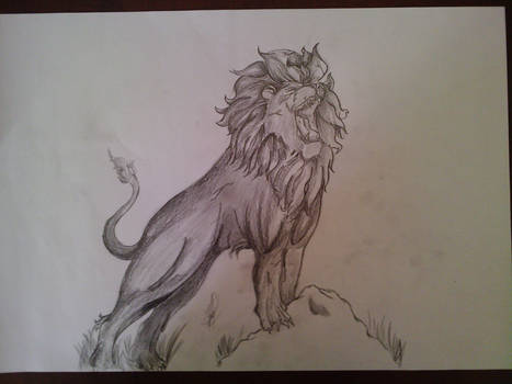 lion