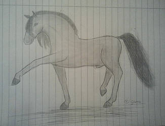 doodle - horse