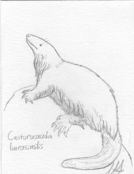 Philoceratops - Hobbyist, General Artist | DeviantArt