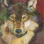 Wolf II