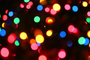 CHRISTMASBOKEH STOCK BACKGROUND by reedjones