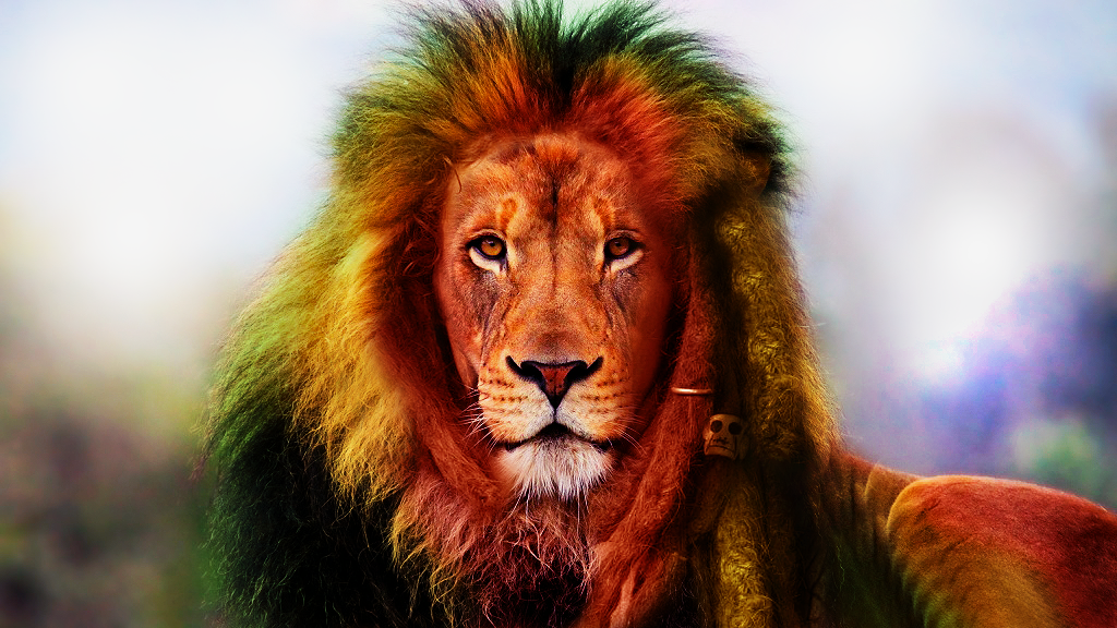 Rastafari Lion