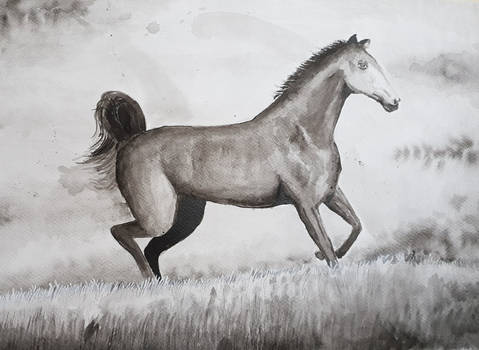 Running Horse