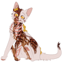 Spottyfullbody6