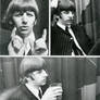 Ringo everywhere