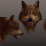 wolf expressions- serious threat