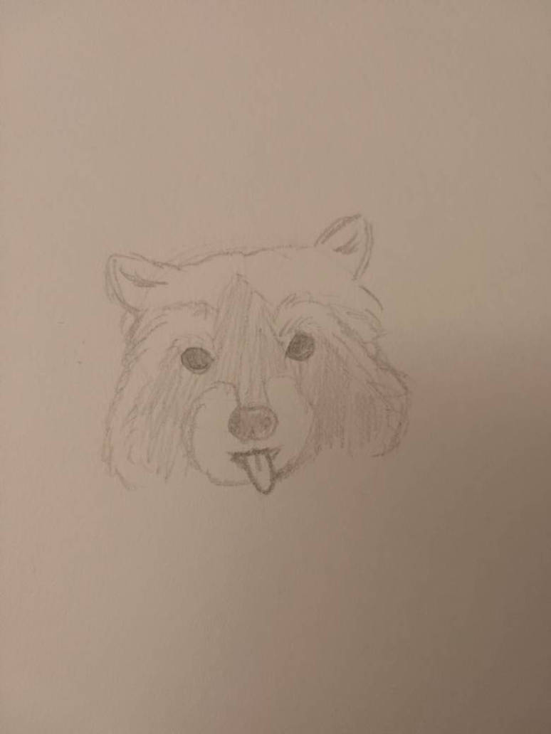 Really bad raccoon by demongirluwu69 on DeviantArt