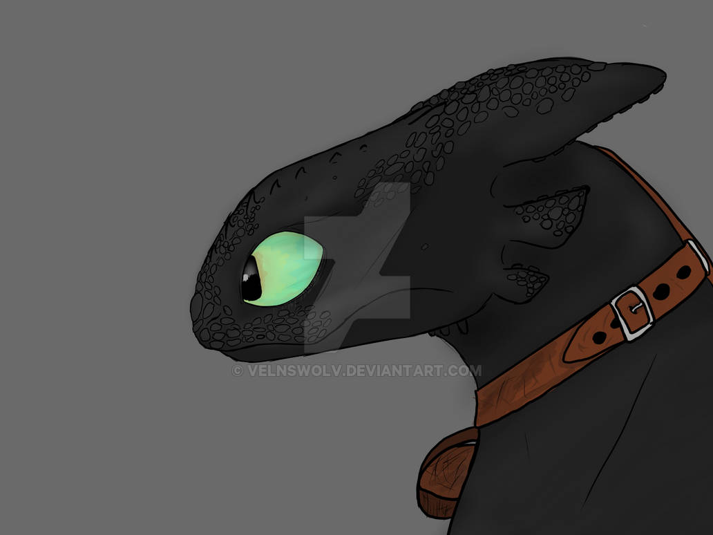 Toothless Best version by VelnsWolv on DeviantArt