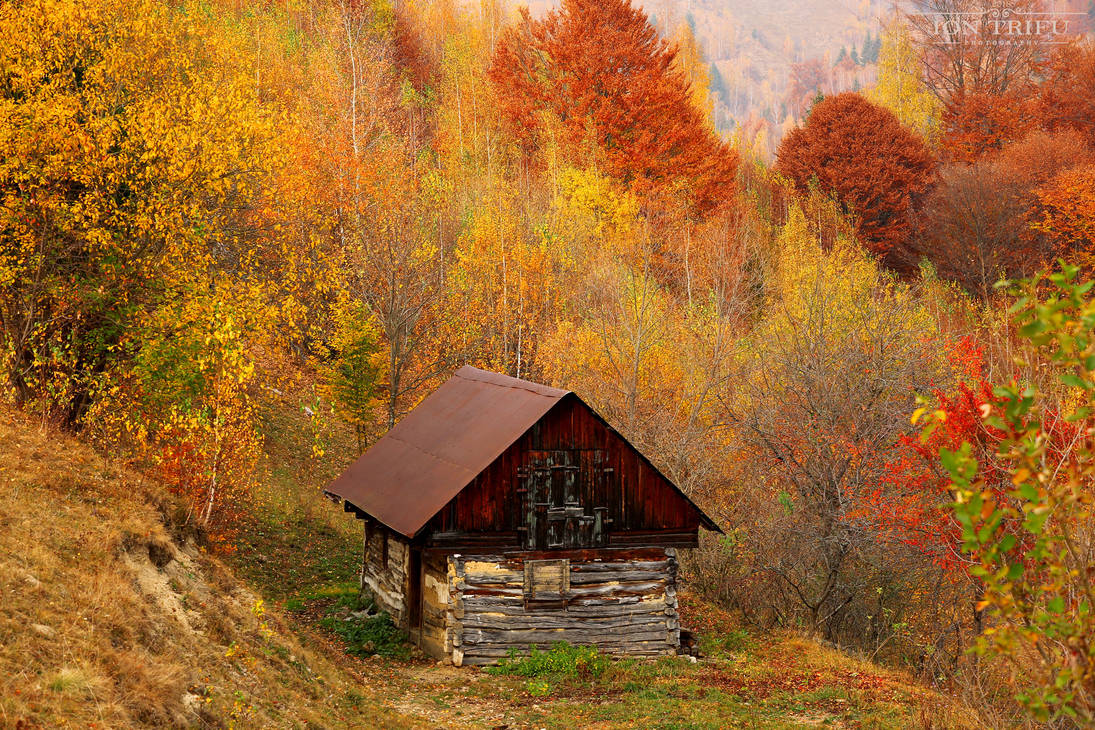 Colors of Autumn by John77 on DeviantArt