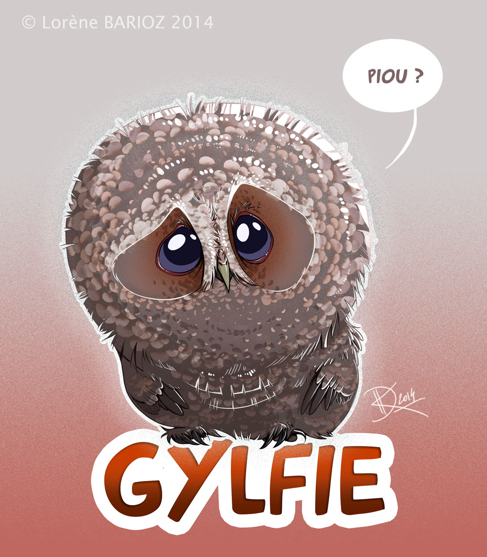 Gylfie the little owl