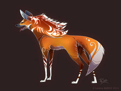 Maned Wolf