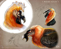 Bearded Vultures