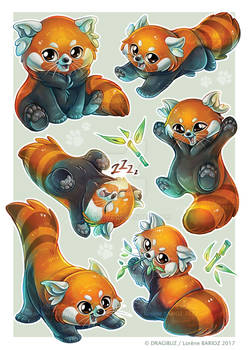 Explore the Best Redpanda Art | DeviantArt