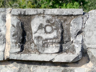 Skull wall close-up