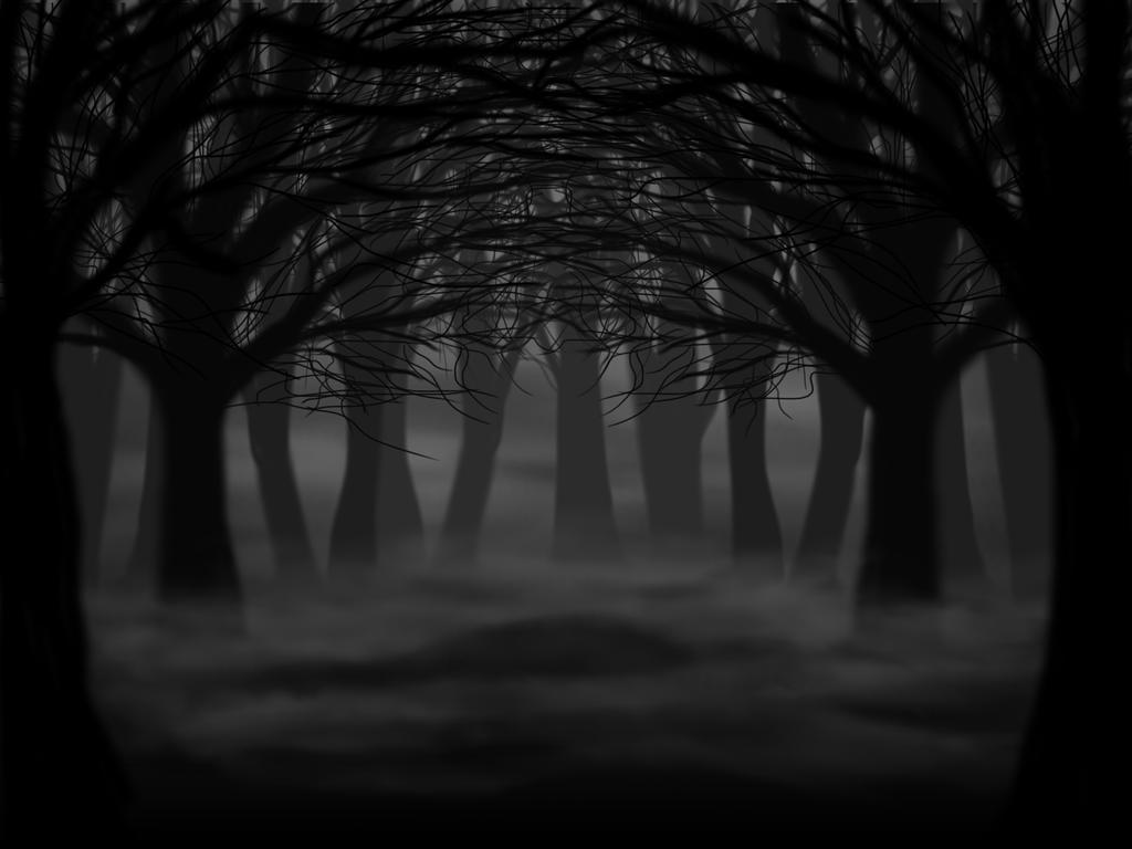 Ngập tràn bí ẩn, anime hình nền rừng đen gợi lên sự tò mò trong lòng người xem. Đi tìm câu trả lời về những con vật kì dị và sức mạnh đáng sợ trong khu rừng đầy ma quỷ này.