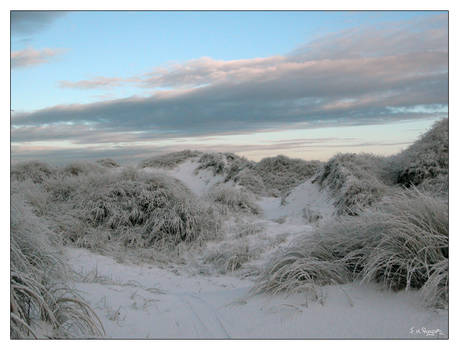 Beach Snow