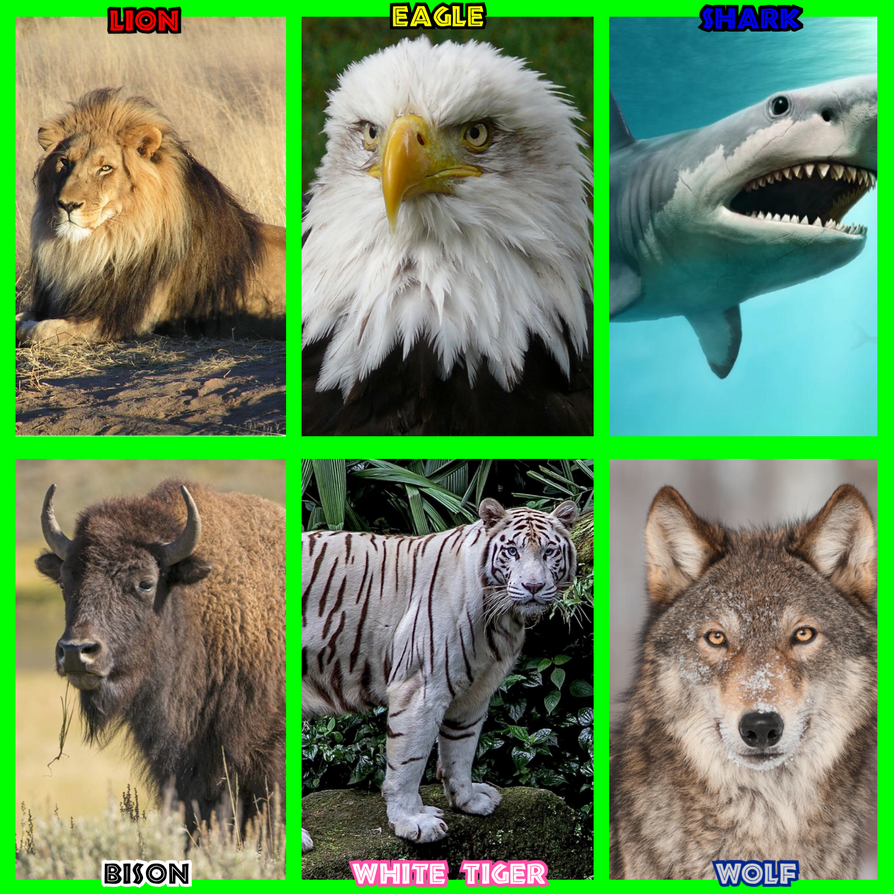 6 Animals from Power Rangers Wild Force by Joshuat1306 on DeviantArt