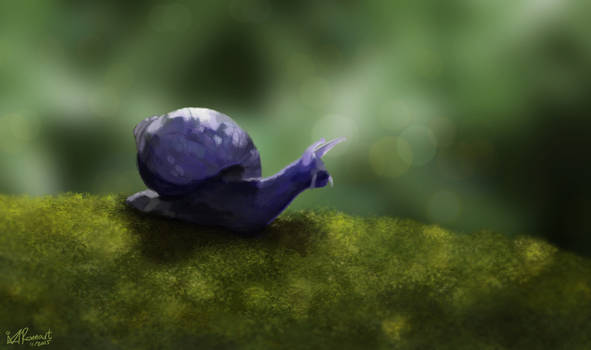 Snail