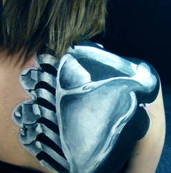 Close up - Anatomical shoulder blade and vertebrae