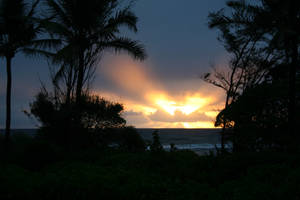 Hawaiian Sunset