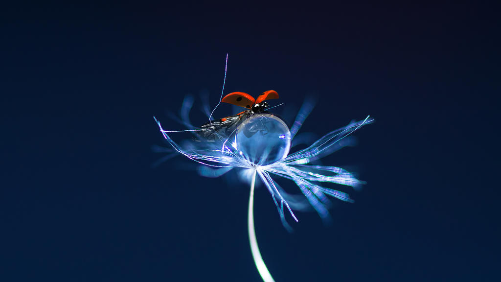 A large thirst by Aurelien-Minozzi A large thirst by Aurelien-Minozzi