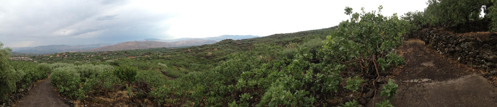 Parco dell'Etna