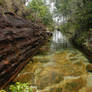 Cano Cristales Meta Colombia