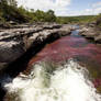 Cano Cristales Meta Colombia