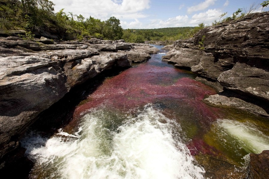 Cano Cristales Meta Colombia