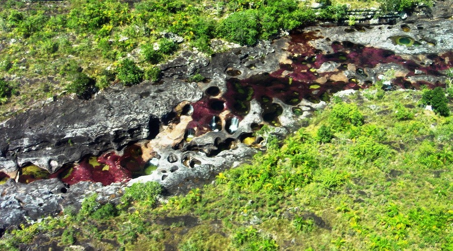 Cano Cristales Meta Colombia