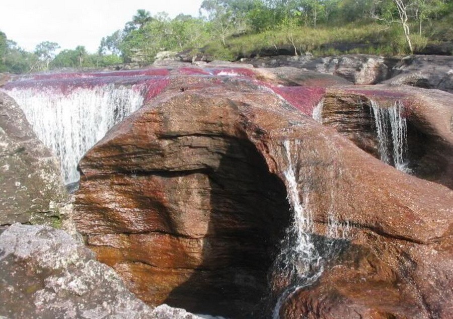 Cano Cristales Meta Colombia