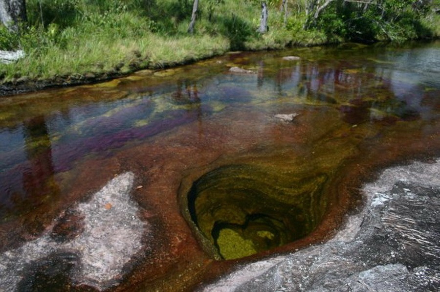 Cano Cristales Meta Colombia