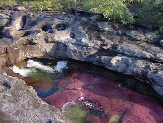 Cano Cristales Meta Colombia