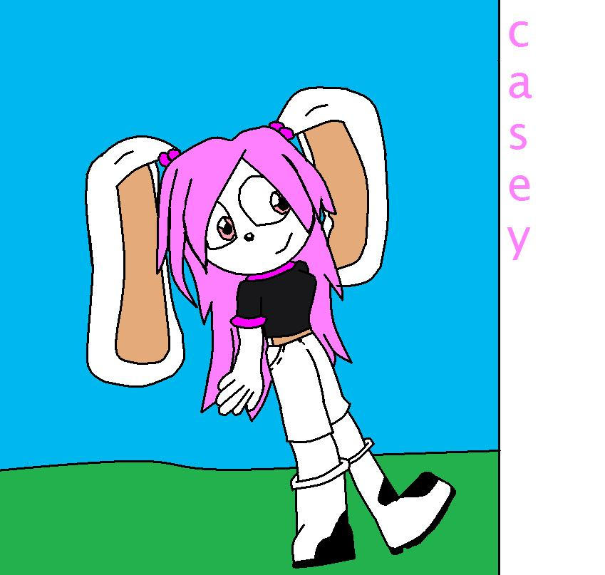 casey the rabbit by cindy-hedgehog2 on DeviantArt
