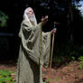 Wizard Gardening 2013-06-25 20