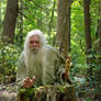 Pisqah Green Wizard 2011-05-24 49
