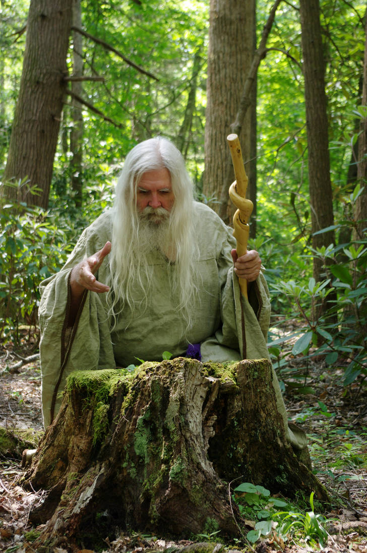 Pisqah Green Wizard 2011-05-24 46 by skydancer-stock