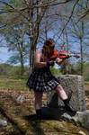 2014-04-26 Gold Violin 36 by skydancer-stock