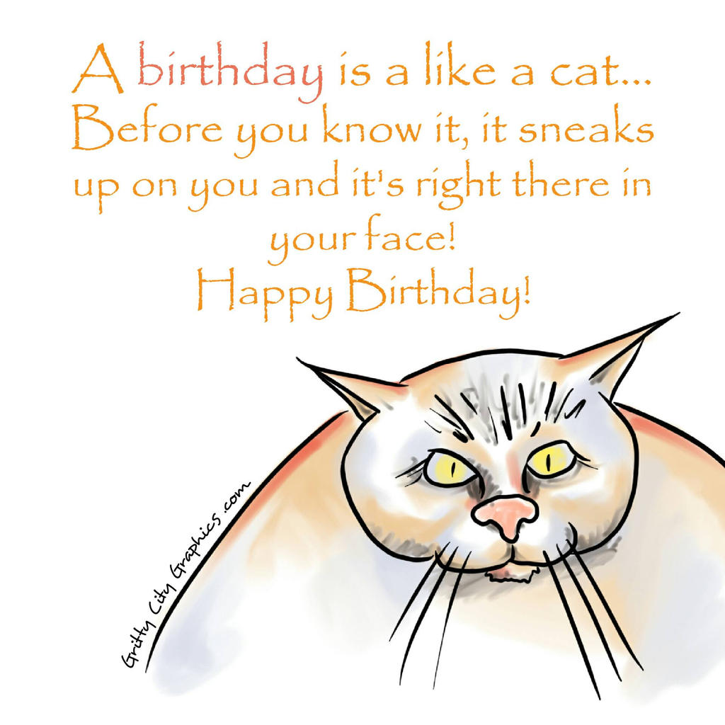 Birthday Cat 