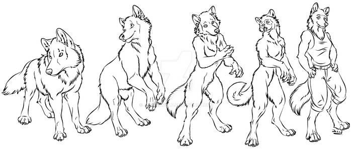 Livestream Commission: Wolf to Anthrowolf Shifter
