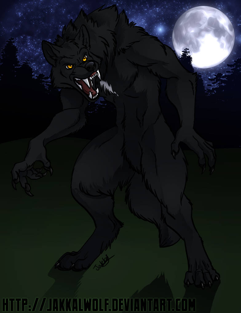 Werewolf Rectnum LSC: Rem the Werewolf by JakkalWolf on DeviantArt