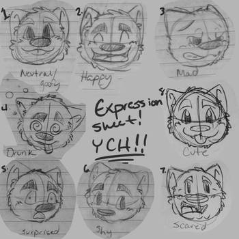 YCH Expression Sheet