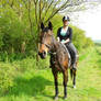 Abby and her 'pony' Louie