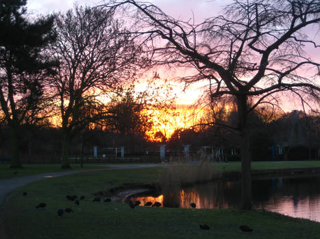 LOVE in the Zuiderpark