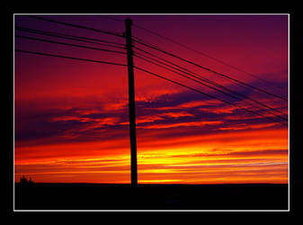 Powerline in the sunset