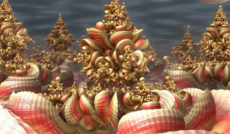 seashell bulbs