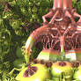 creative plants