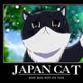 japan cat