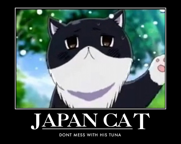 japan cat