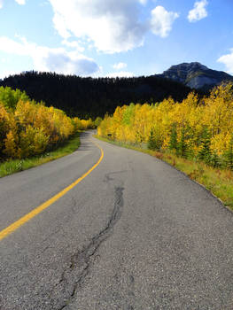 Picturesque Road